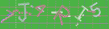 確認代碼