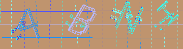 確認代碼