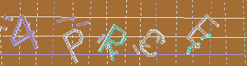確認代碼