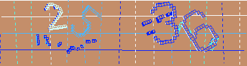 確認代碼
