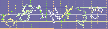 確認代碼
