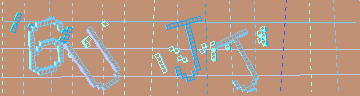 確認代碼