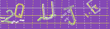 確認代碼