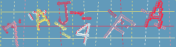 確認代碼