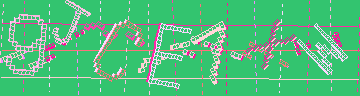 確認代碼