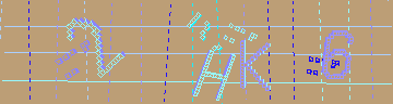 確認代碼