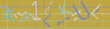 確認代碼