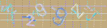 確認代碼