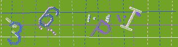 確認代碼