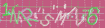 確認代碼