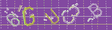 確認代碼