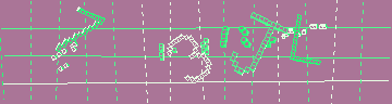 確認代碼