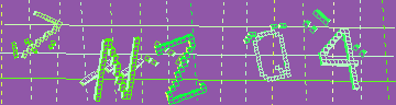 確認代碼