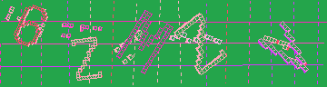 確認代碼