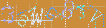 確認代碼