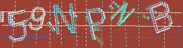 確認代碼
