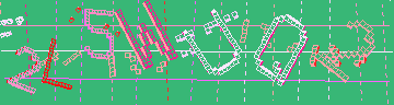 確認代碼