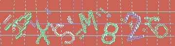 確認代碼