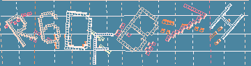 確認代碼