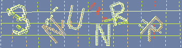 確認代碼