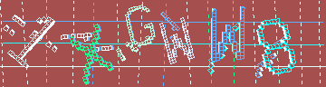 確認代碼