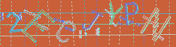 確認代碼