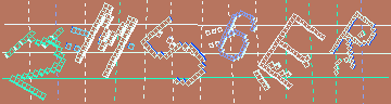 確認代碼
