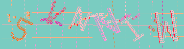 確認代碼