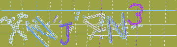 確認代碼