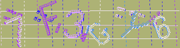 確認代碼