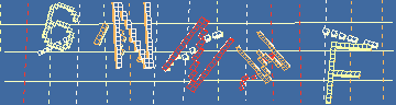 確認代碼