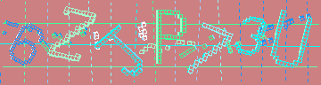 確認代碼