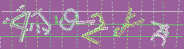 確認代碼
