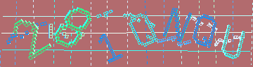 確認代碼