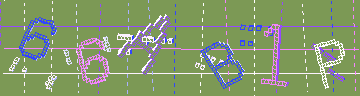 確認代碼