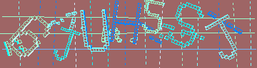 確認代碼