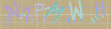 確認代碼