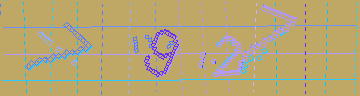 確認代碼
