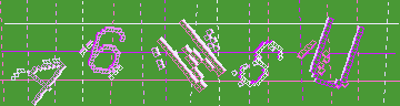 確認代碼
