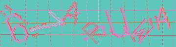 確認代碼