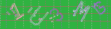 確認代碼