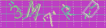 確認代碼