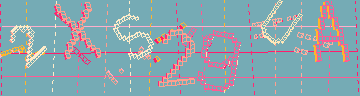 確認代碼