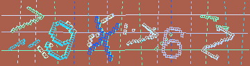 確認代碼