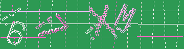 確認代碼