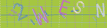 確認代碼