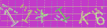 確認代碼