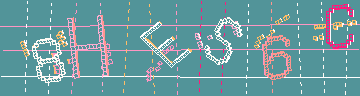 確認代碼