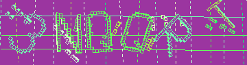 確認代碼