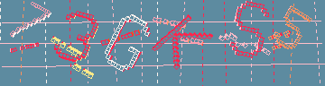 確認代碼